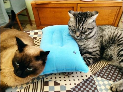 Portable Ultralight Inflatable Air Pillow – Camping & Travel Sleep Cushion
