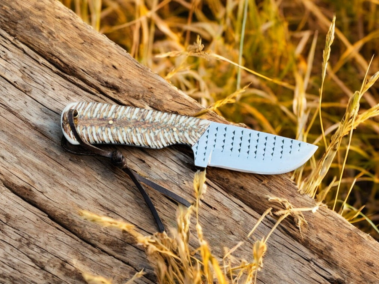 4" Rasp Steel Outdoor Utility Knife – With Protective Sheath